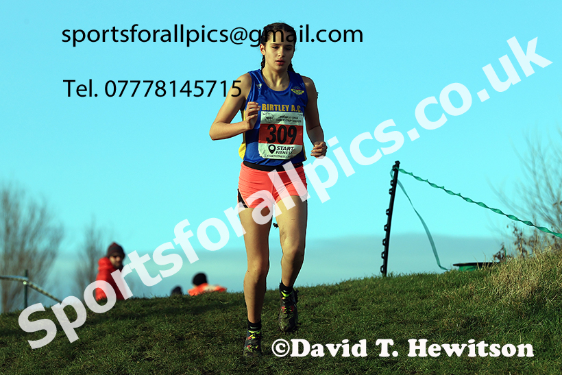 Girls under-15s 2024 NECAA Cross Country Champs., Temple Park, South Shields. Photo: David T. Hewitson/Sports for All Pics